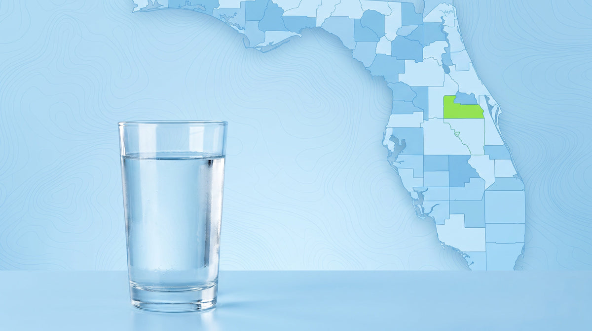 Water Filtration Systems in Orlando: Why Local Water Is Hard on Your Home