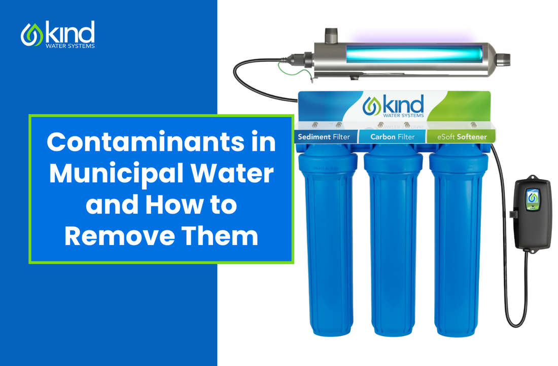 Contaminants in Municipal Water and How to Remove Them