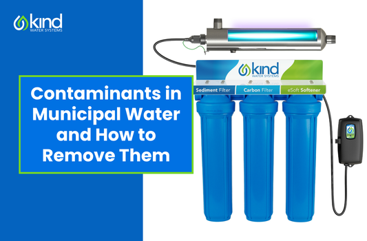 Contaminants in Municipal Water and How to Remove Them
