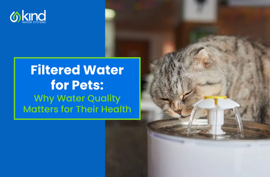 Filtered Water for Pets: Why Water Quality Matters for Their Health
