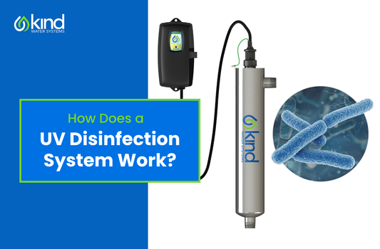 How Does a UV Disinfection System Work?