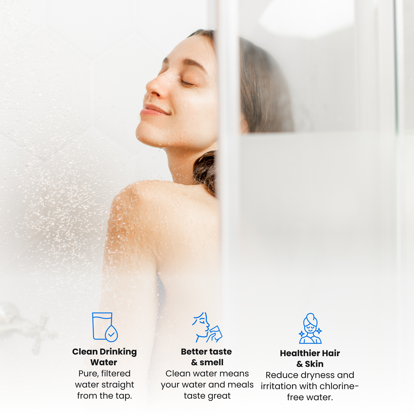 Whole House Water Filter with UV